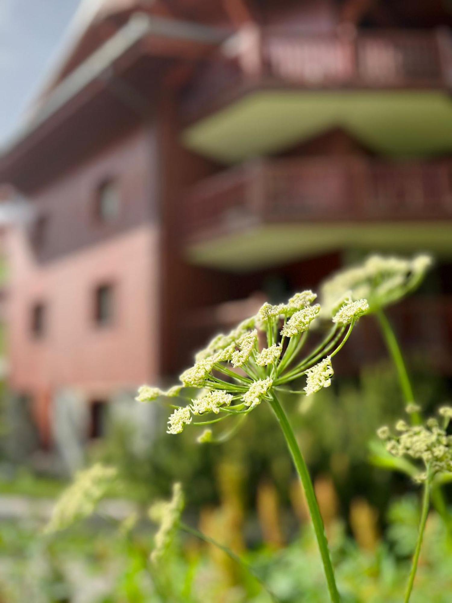 Appartments In Tignes Ecrin Des Neiges Exterior photo